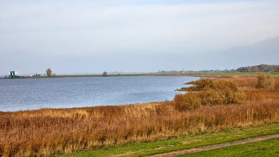 Elbe bei Glückstadt