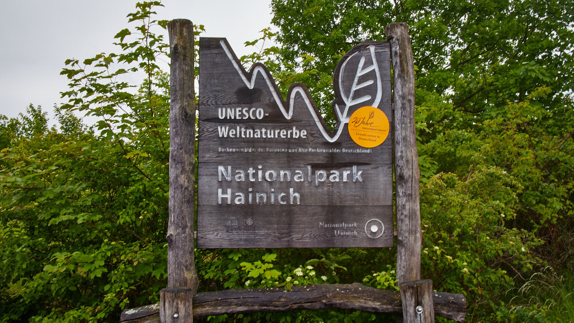 Hainich