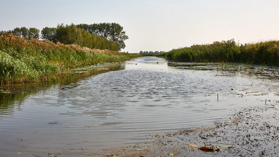 Havelland, am Gülper See