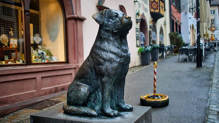 Rottweil
