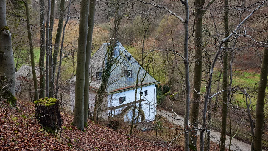 EifelSchleife Küchenschellen