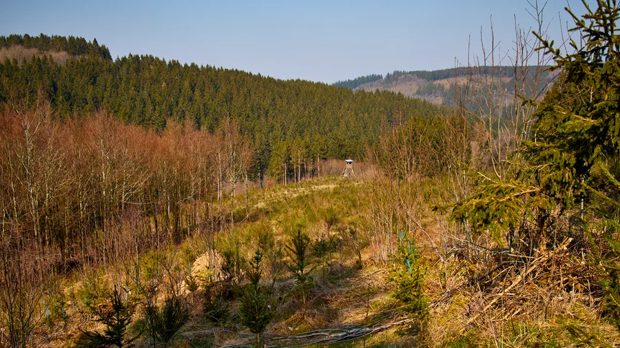 Eisvogelwanderweg
