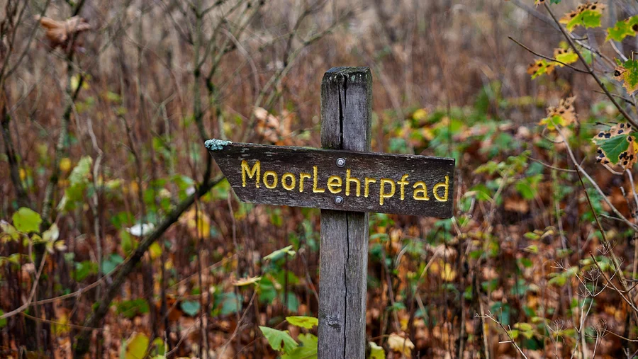 Rotes Moor