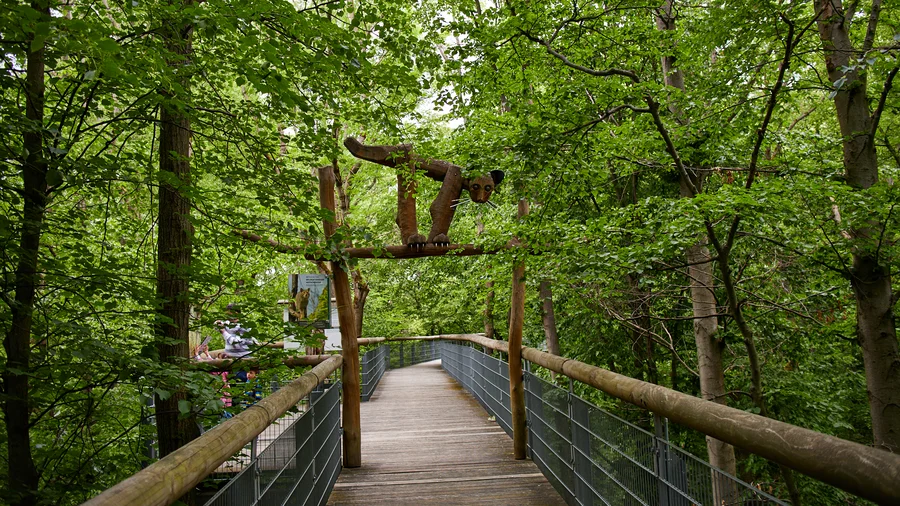 Baumkronenweg Hainich