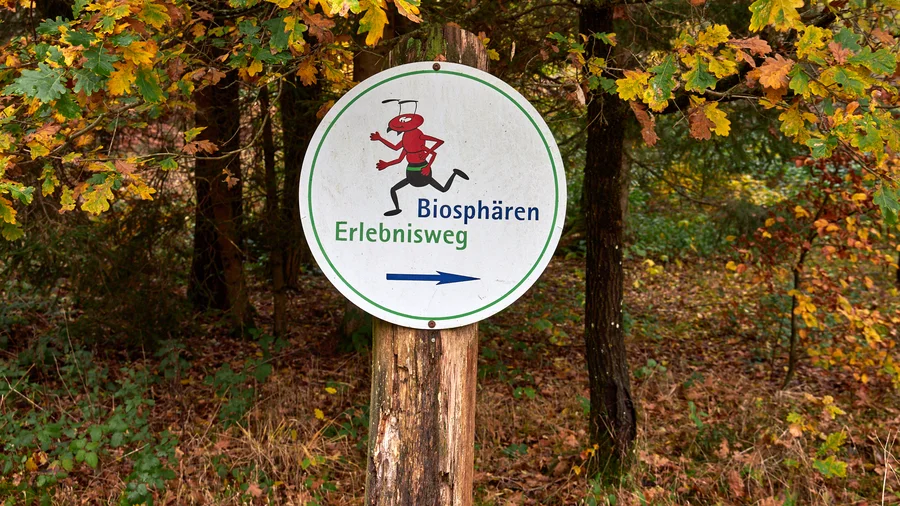 Fischbach