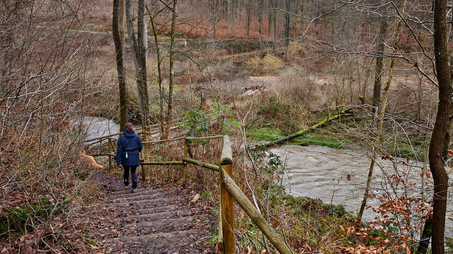 Brexbachschlucht