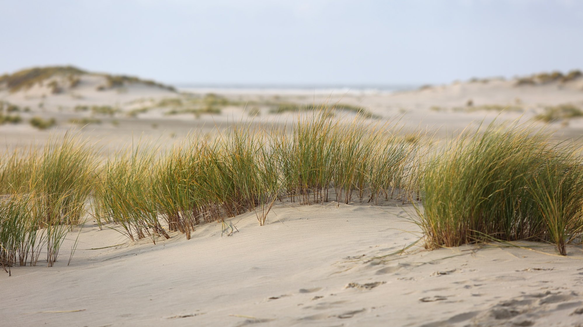 Norderney
