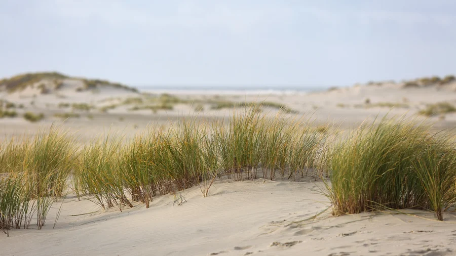 Norderney