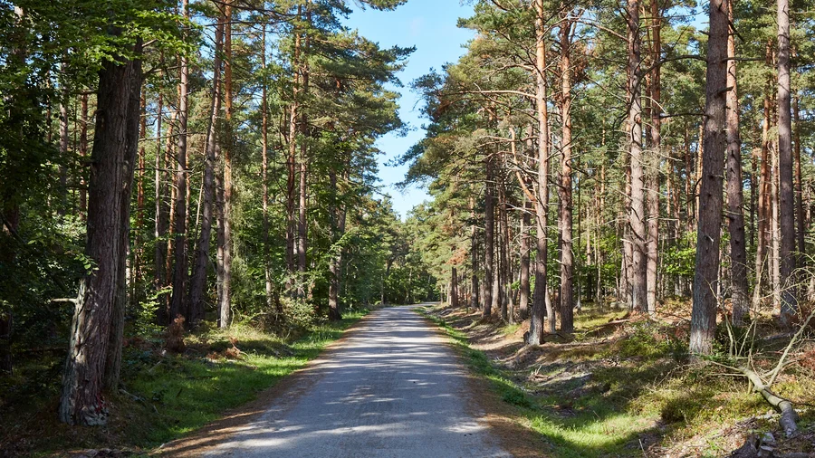 Darß-Zingst