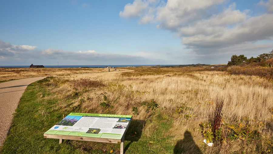 Sylt - Tour zum Ellenbogen