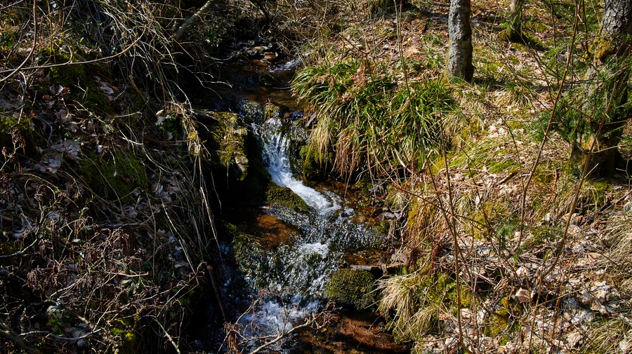 Eisvogelwanderweg