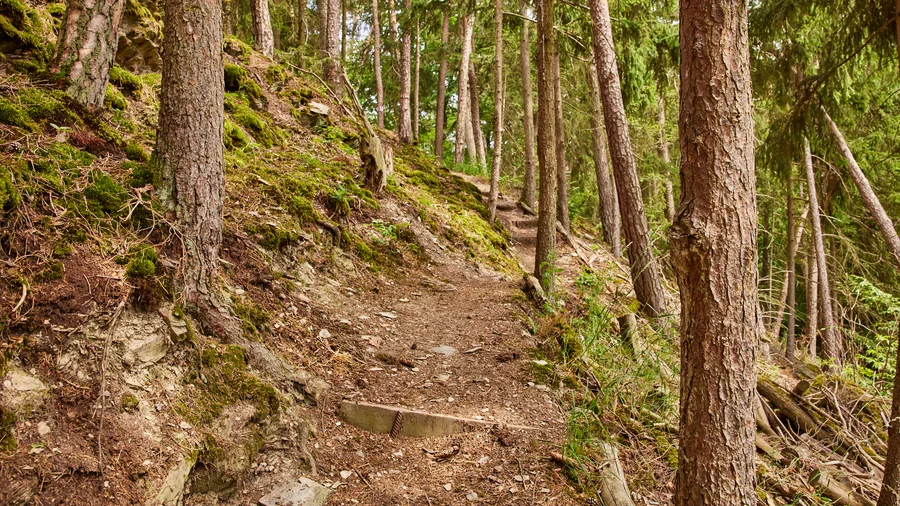 Soonwaldschleife