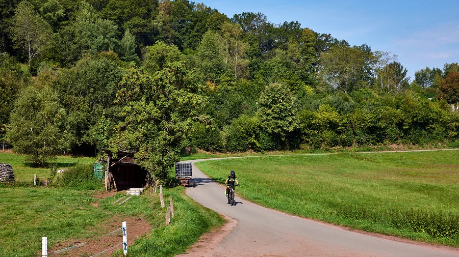 Wieslautertal Radweg