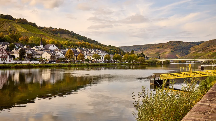Zell Mosel