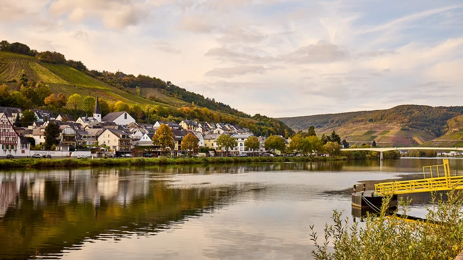 Mosel