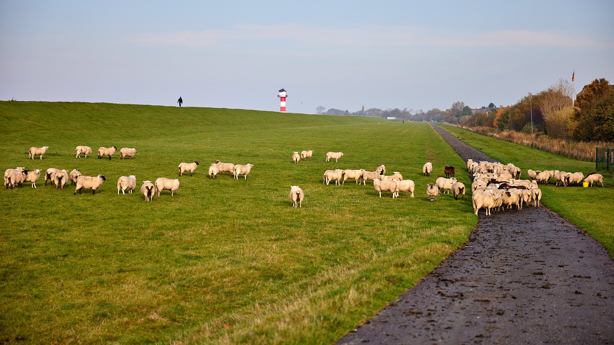 Elbe bei Glückstadt