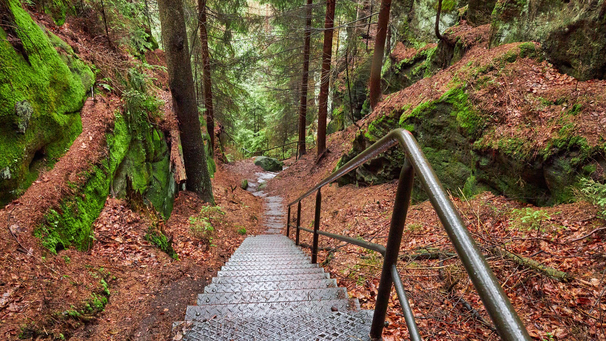 Kirnitzschklamm
