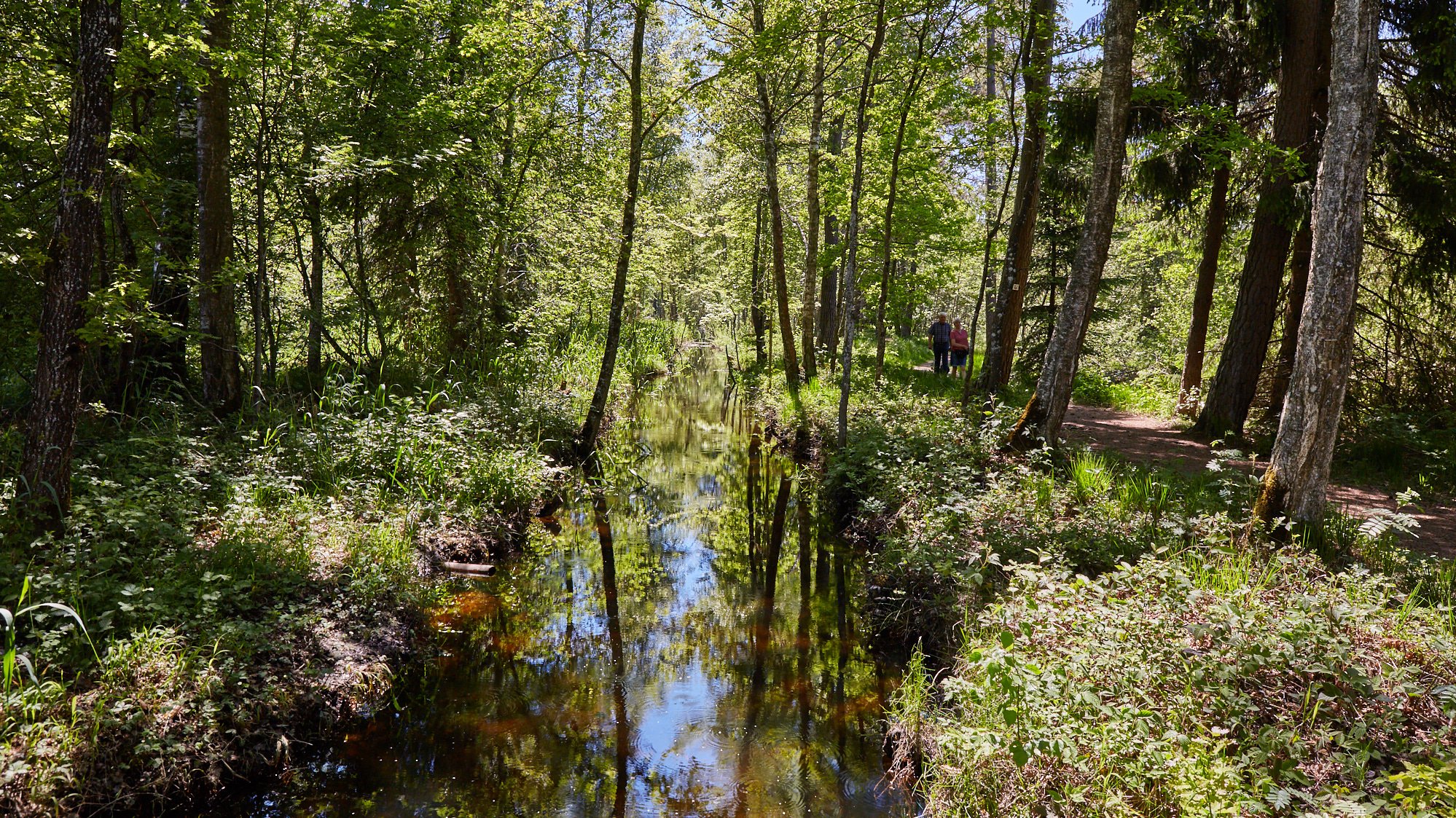 Wurzacher Ried