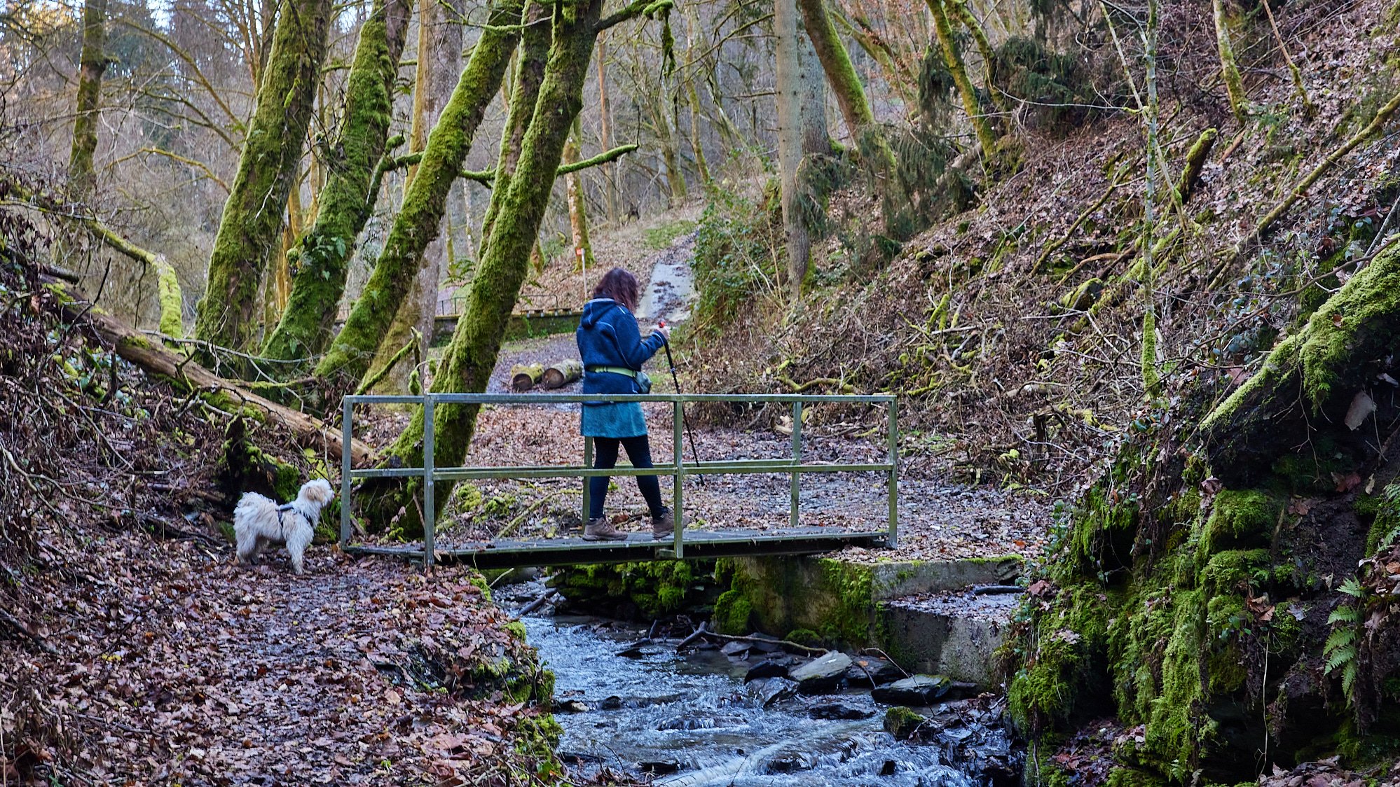 Liebesschlucht Zell/Mosel