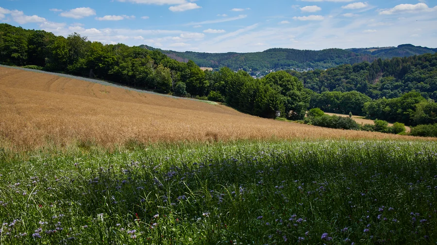 Erlebnisschleife Basaltbogen
