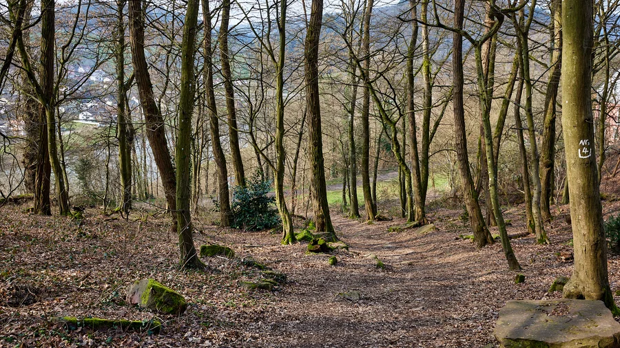 Margarthenschlucht