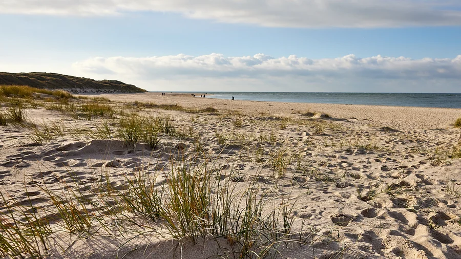 Sylt