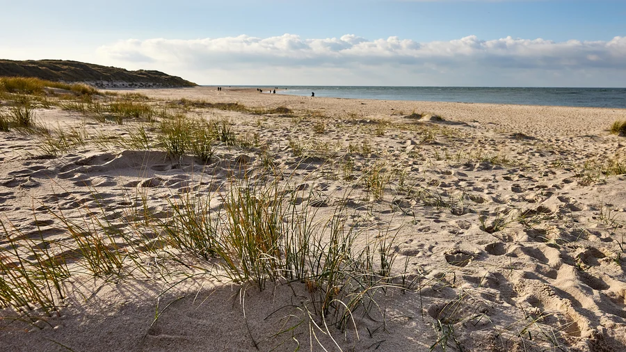 Sylt - Tour zum Ellenbogen