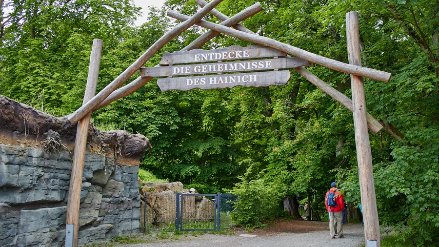 Baumkronenpfad Hainich