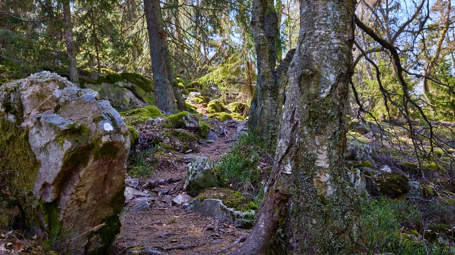 Kirschweiler Festung