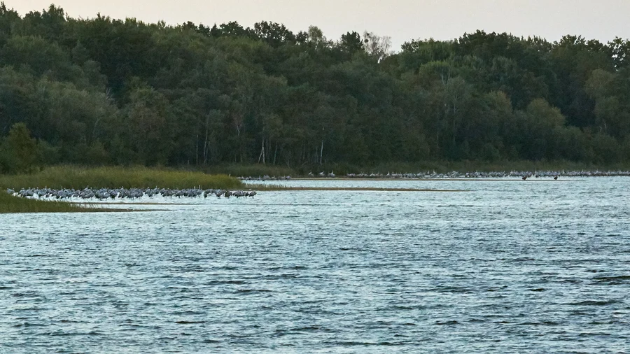 Nationalpark Müritz