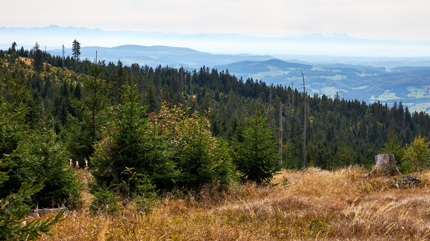 Lackenhäuser - Knaus Campingpark