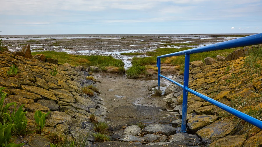 Friedrichskoog