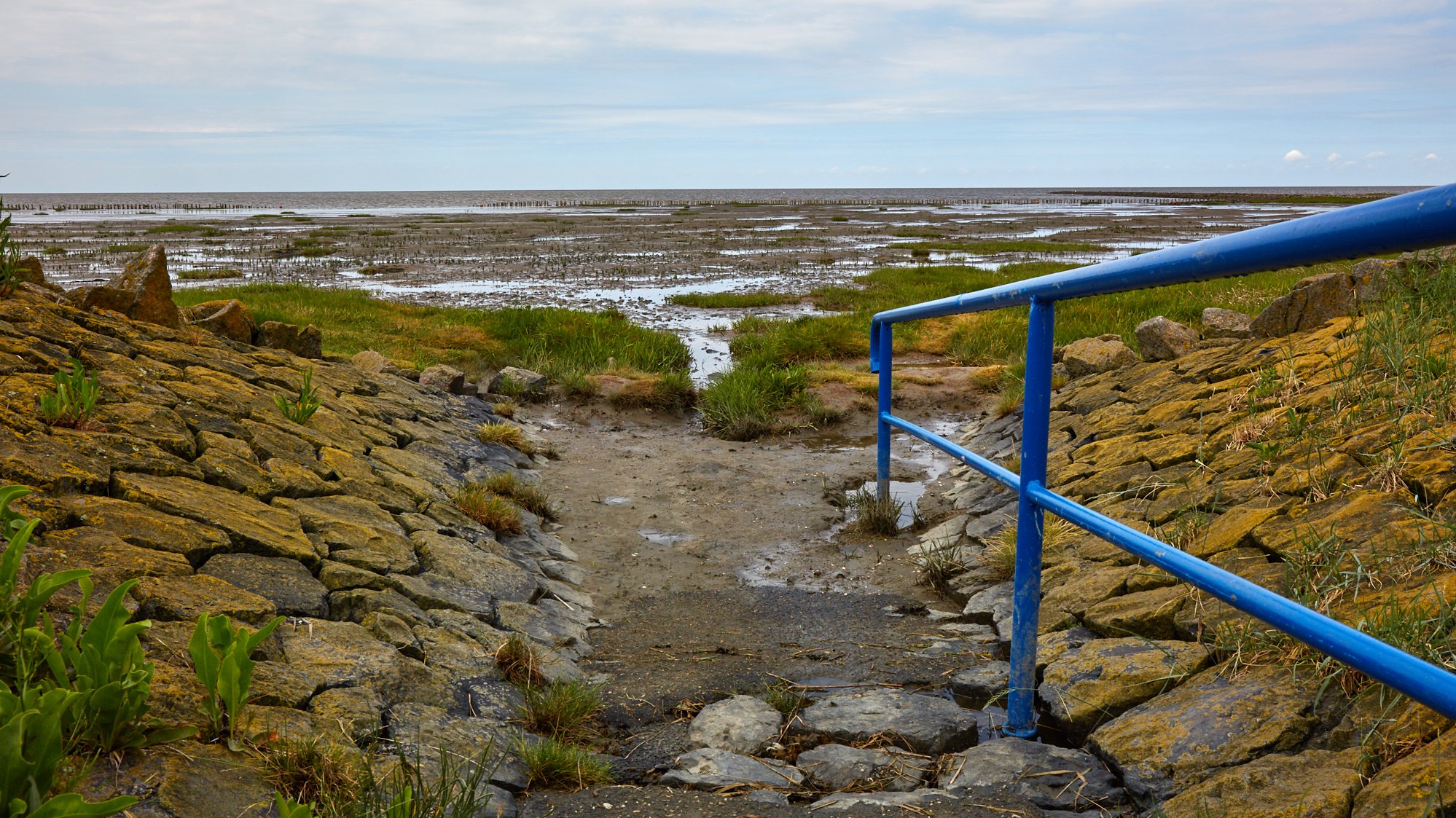 Friedrichskoog