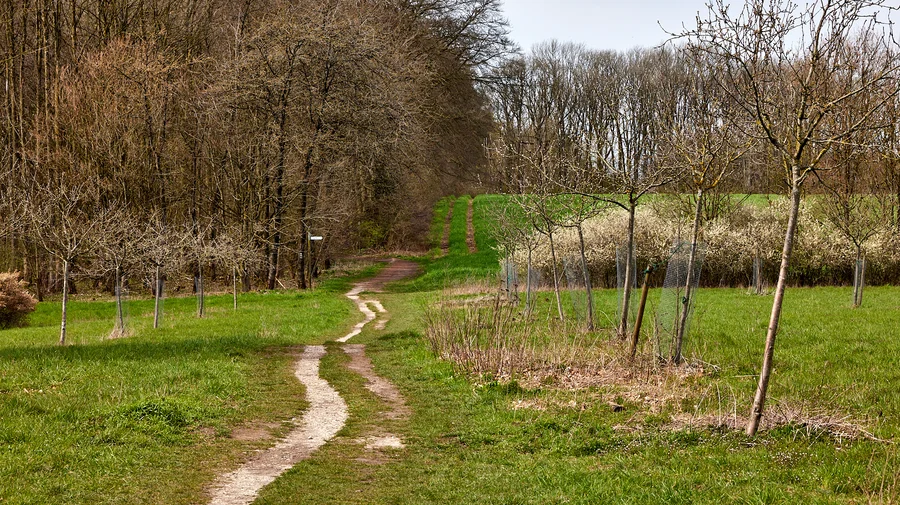Tecklenburg Leeden