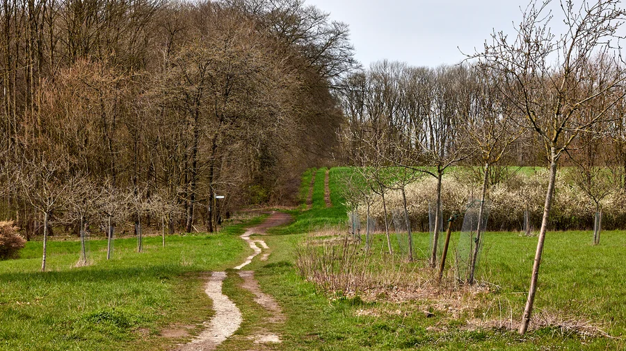 Teutoschleife Canyon Blick