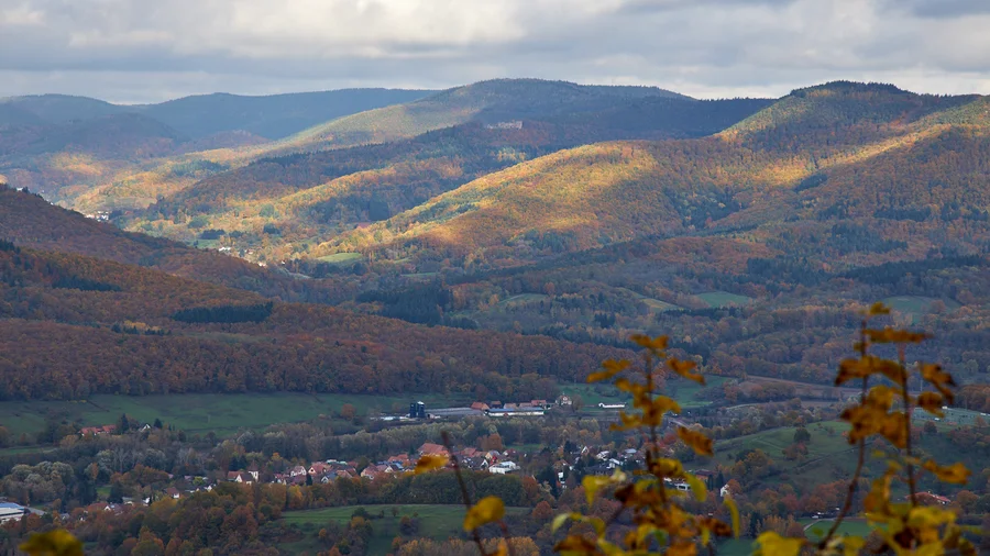 Burg Trifels