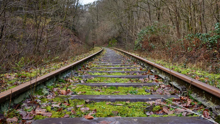 Wäller Tour Brexbachschlucht