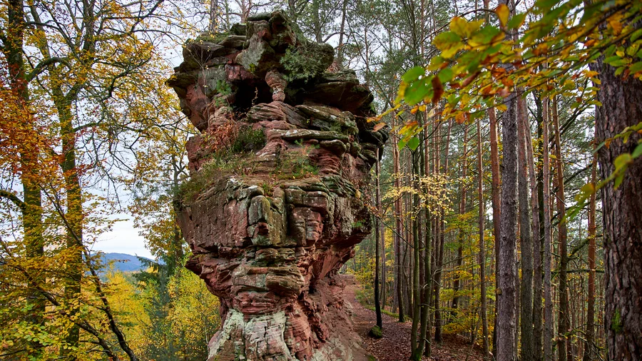 Dahner Felsenpfad