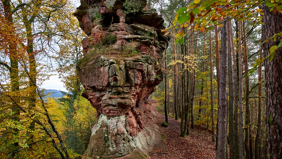 Dahner Felsenpfad