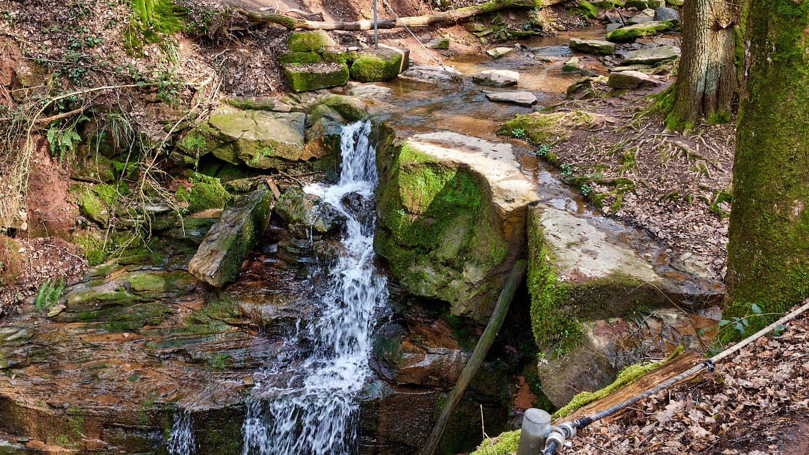 Margarethenschlucht