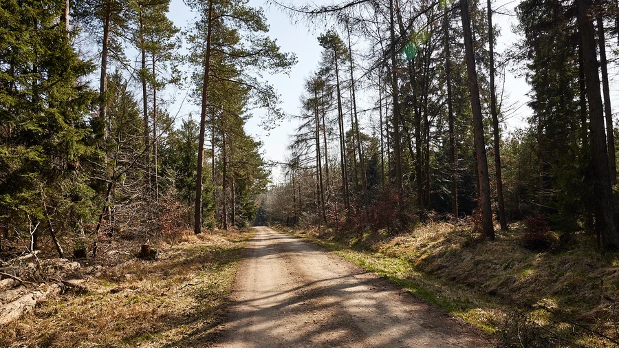 EifelSchleife Auelbachtal