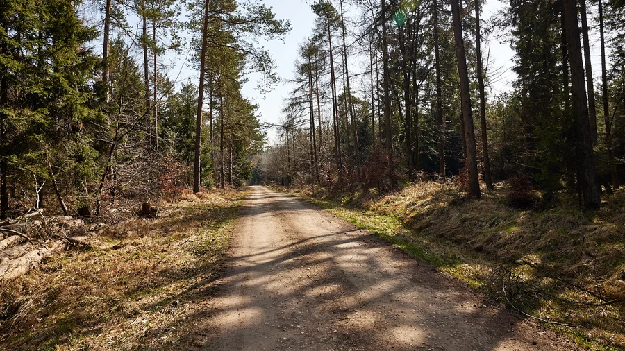 EifelSchleifel Auelbachtal - Auelbachtal