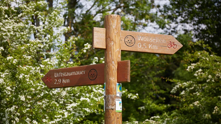 Vogelsang IP