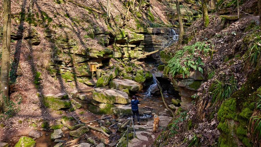 Margarethenschlucht