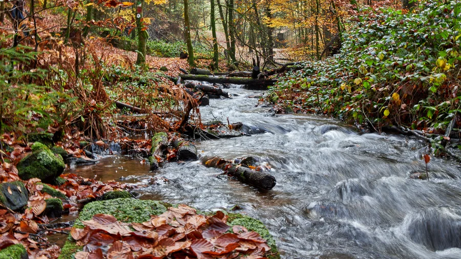 Karlstalschlucht