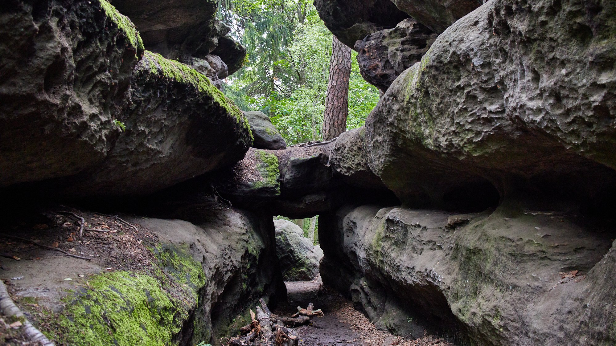 Felsenlabyrinth Langenhennersdorf