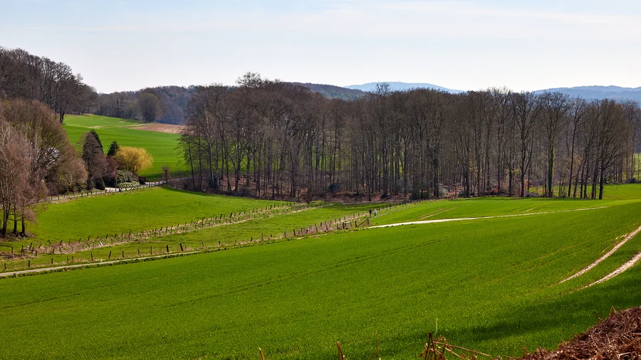 Teutoschleife Canyon Blick