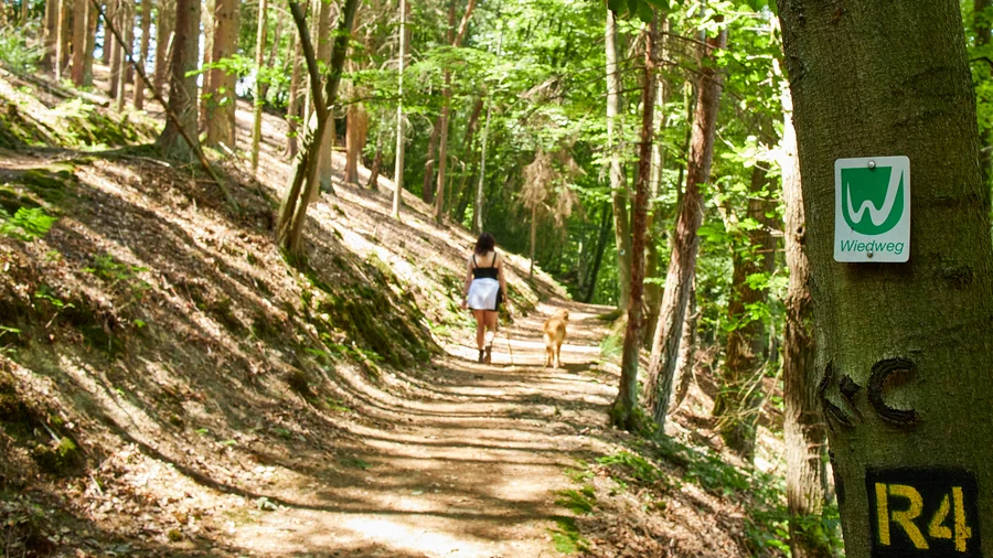 Westerwaldsteig Erlebnisschleife Basaltbogen