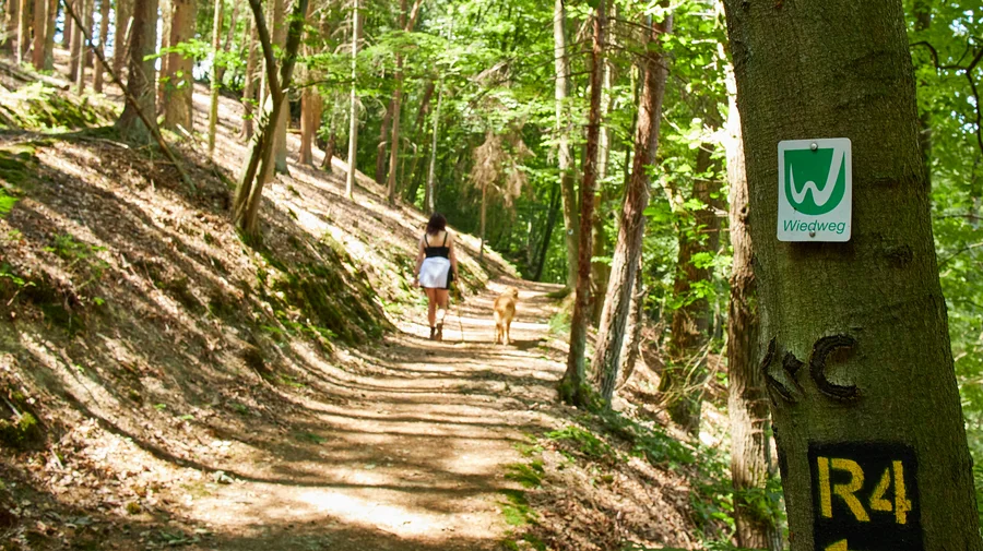 Westerwald - Wiedtal