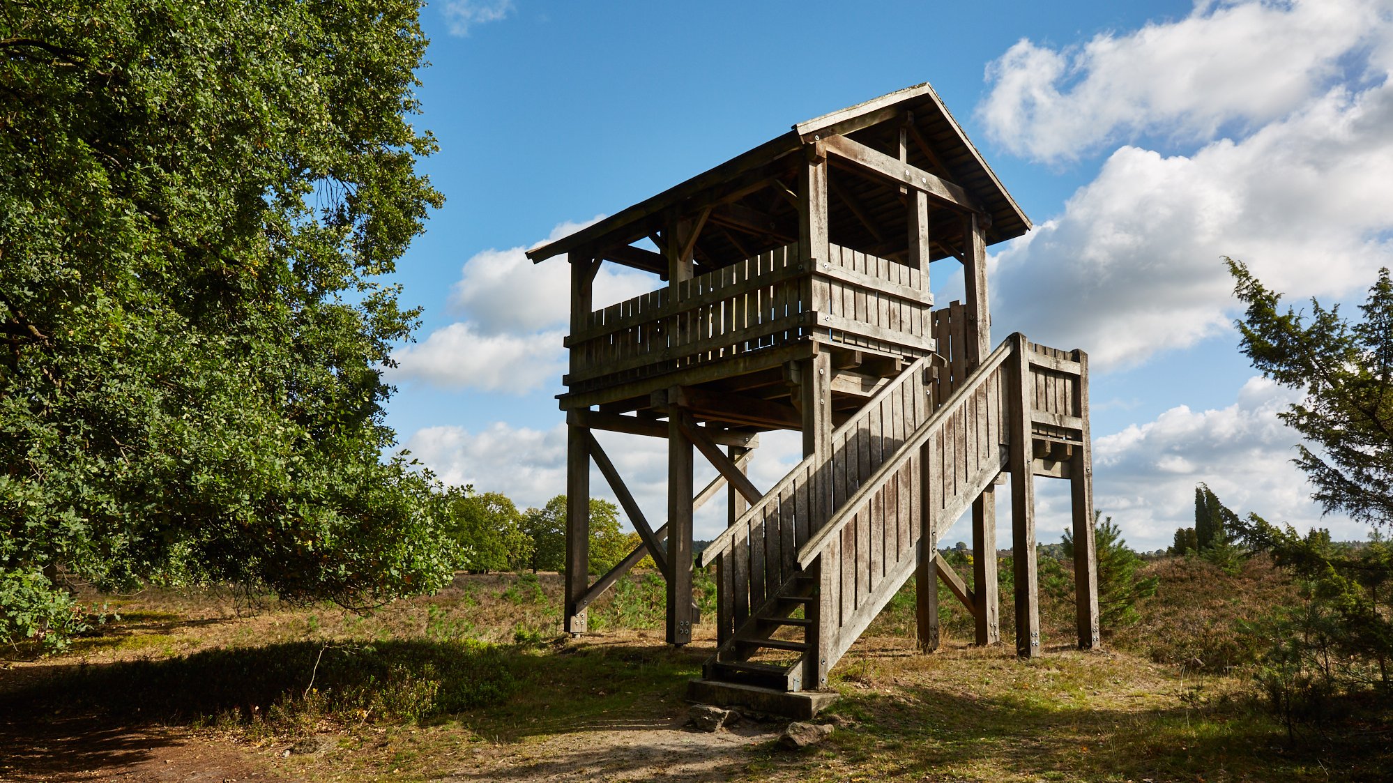 Wilseder Berg und Totengrund